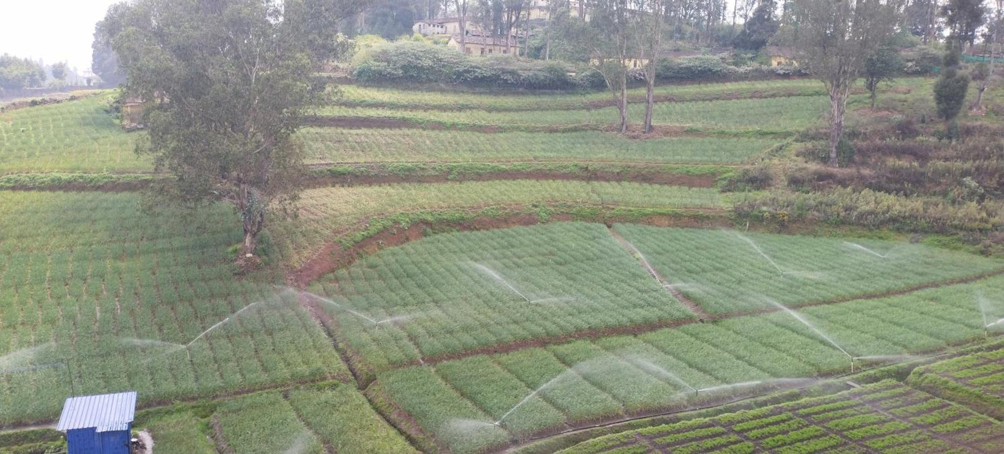J J Homes Ooty Extérieur photo